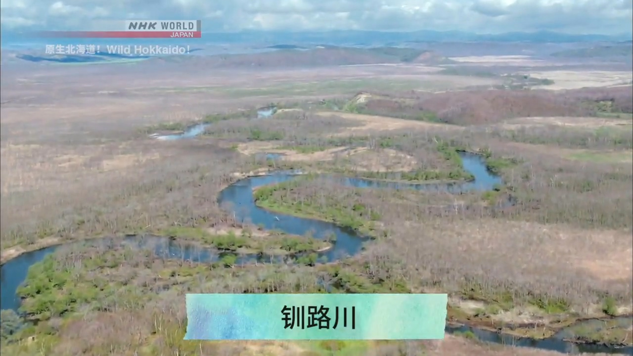 纪录片.NHK.原生北海道.钏路川.2018